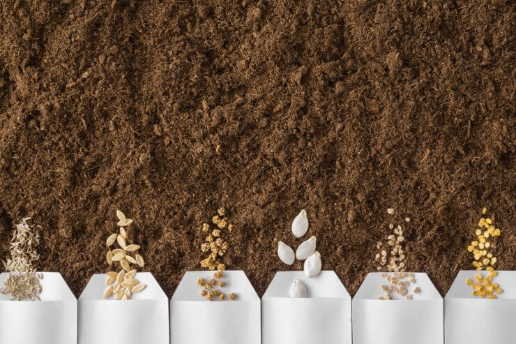 White packs of salad, cucumber, beet, pumpkin, tomato, paprika seeds on fresh dark soil background. Planting vegetables. Preparation for garden season in early spring. Empty place for text. Top view.