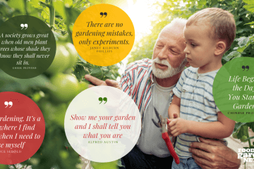 60 Inspirational Quotes About Gardening