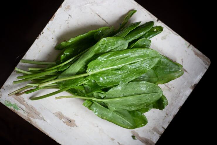 Fresh sorrel on a old wooden table with copy space