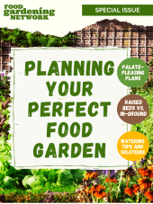 Planning Your Perfect Food Garden