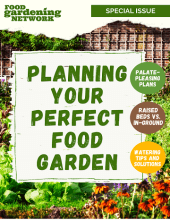 Planning Your Perfect Food Garden