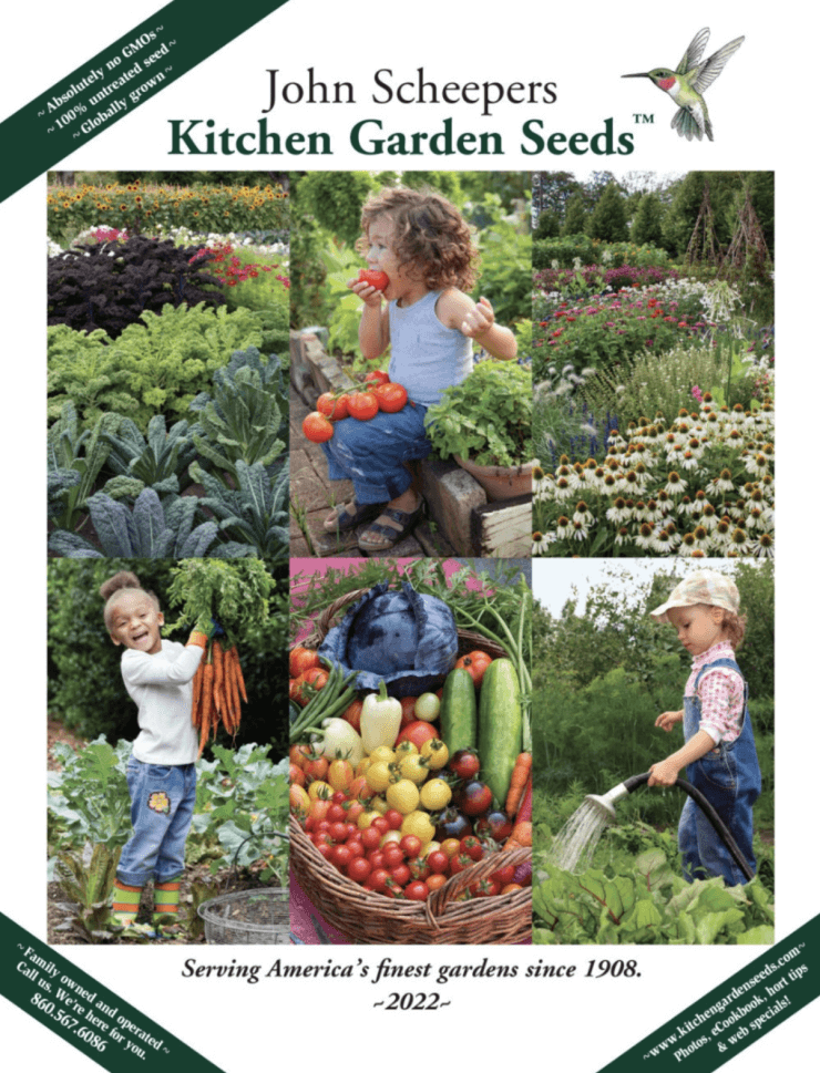 John Scheepers Kitchen Garden Seeds 