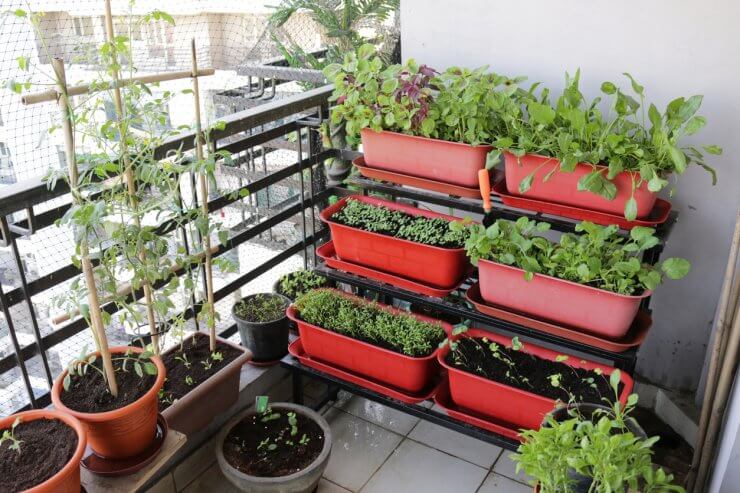 Tiered plastic plant troughs