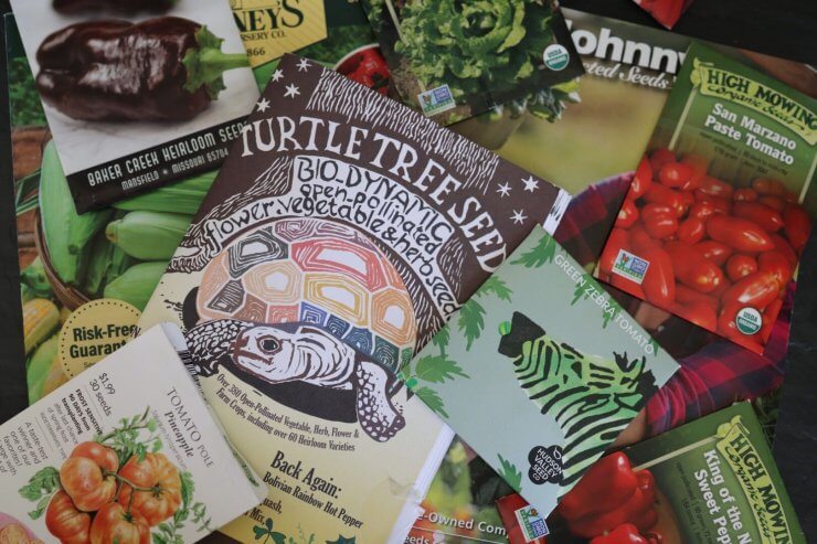 Seed Catalog