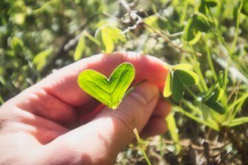 10 Last-Minute Valentine Gifts for Gardeners