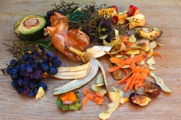 The Best Compost Ingredients for Making Black Gold