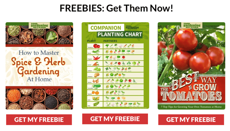 Freebie Affiliate Marketing Program from Food Gardening Network delivers valuable freebies to your audience