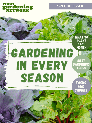 Gardening in Every Season