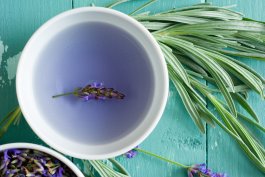 Health Benefits and Home Remedies of Lavender