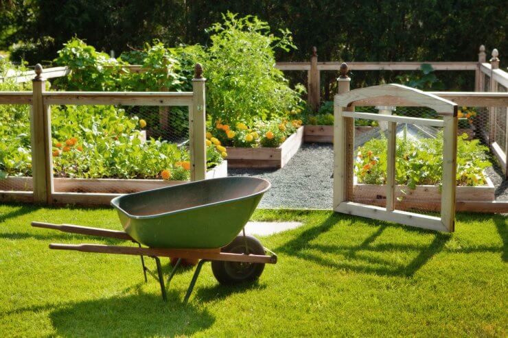 Spring Home Garden with Flowers and Vegetables Featuring Wheelbarrow, Fence