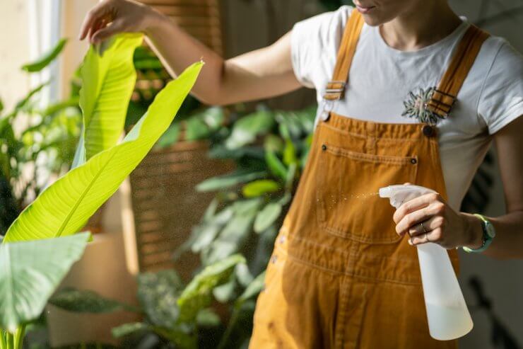 Woman Gardener