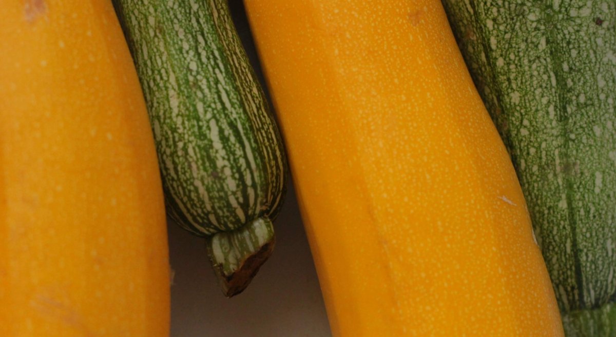 10 Summer Squash Companion Plants You Want in Your Garden Food