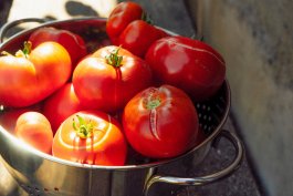 Why Do Tomatoes Split and How to Stop It