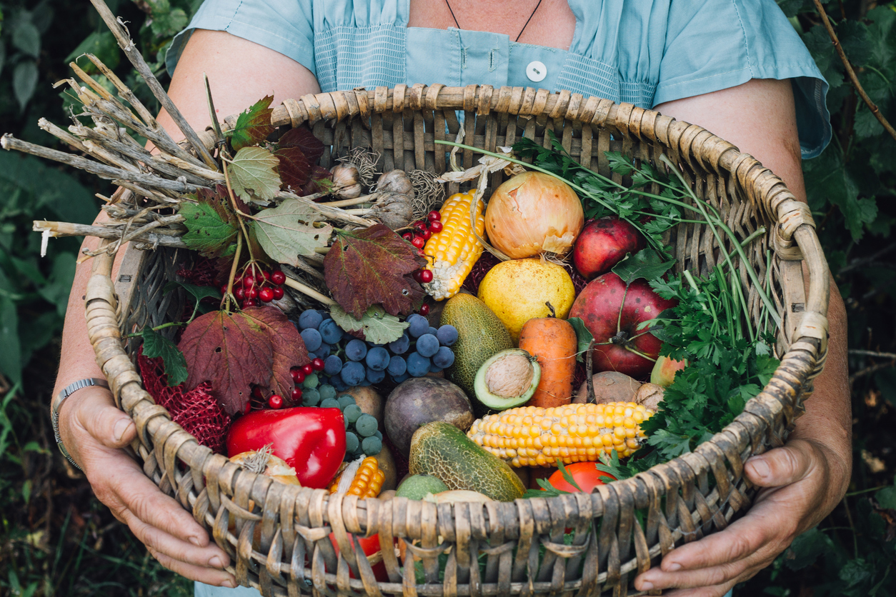 Autumn harvest fruits and vegetables in the wickerwork basket