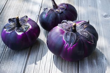 Barbarella eggplant