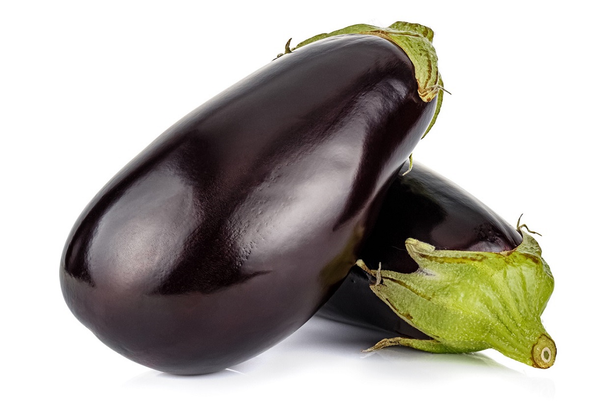 Elegant Eggplant – Food Gardening Network