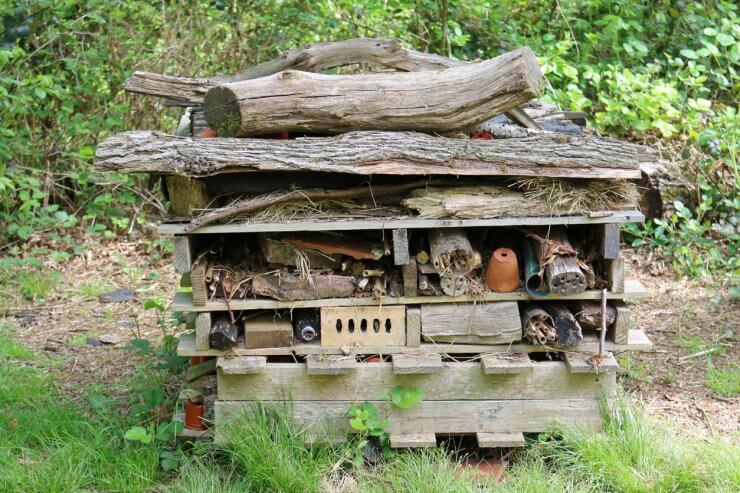 Bug hotel