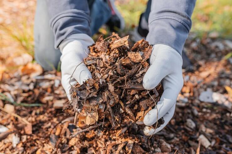 Composting organic waste for soil enrichment