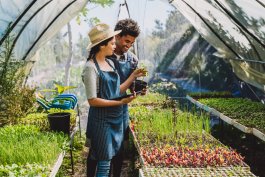 Creating a Greenhouse Freedom Garden