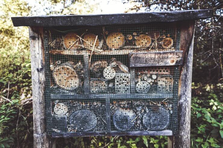 Insect Hotel at Osterseen in Iffeldorf, Upper Bavaria, Germany