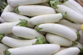 Snowy Eggplant