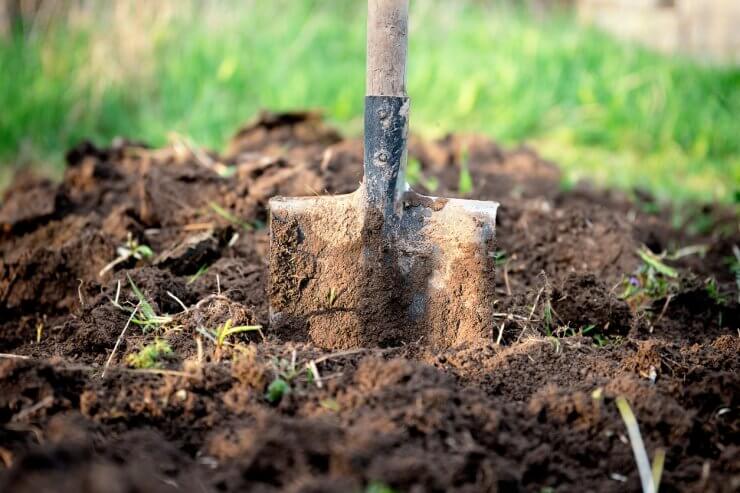 Spade stuck in the ground on the garden bed. Gardening tool and equipment. Garden work concept. Front view