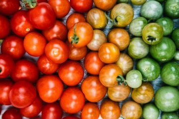 Can You Eat Green Tomatoes Raw or Are They Toxic?