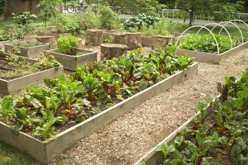 How to Design a Vegetable Garden Layout: Resources to Grow Your Garden