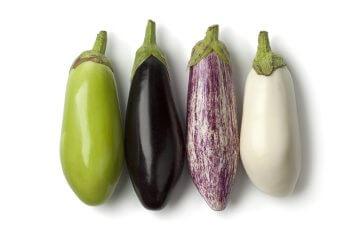 Variety of fresh eggplants