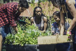 Planning Out Your Freedom Garden