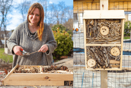 How to Build a DIY Bug Hotel for Pollinators