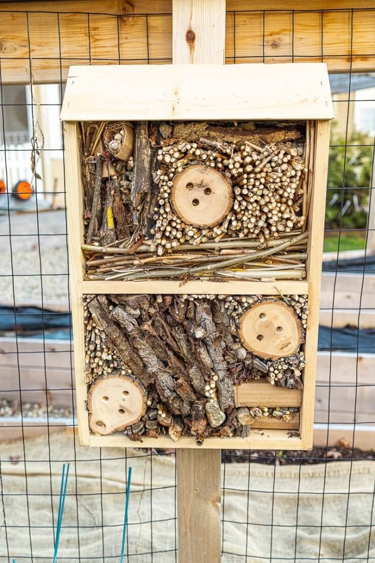 How to Build a DIY Bug Hotel - Finished