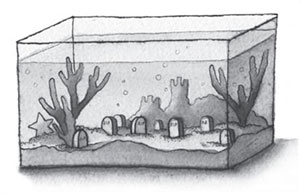 fish tank