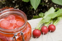 Storing and Preserving Your Radishes