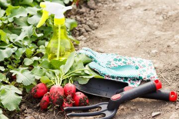 That ‘Good Sore’ vs. ‘Bad Sore’