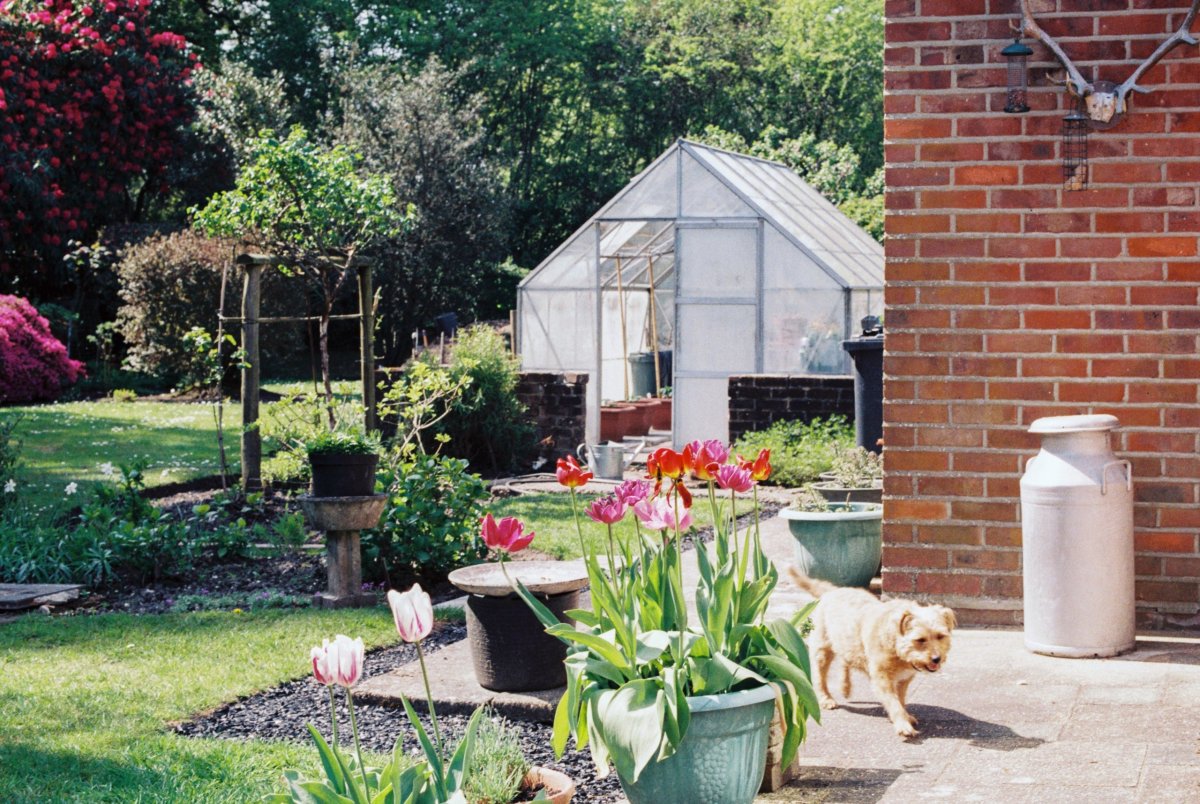 vegetable garden screens