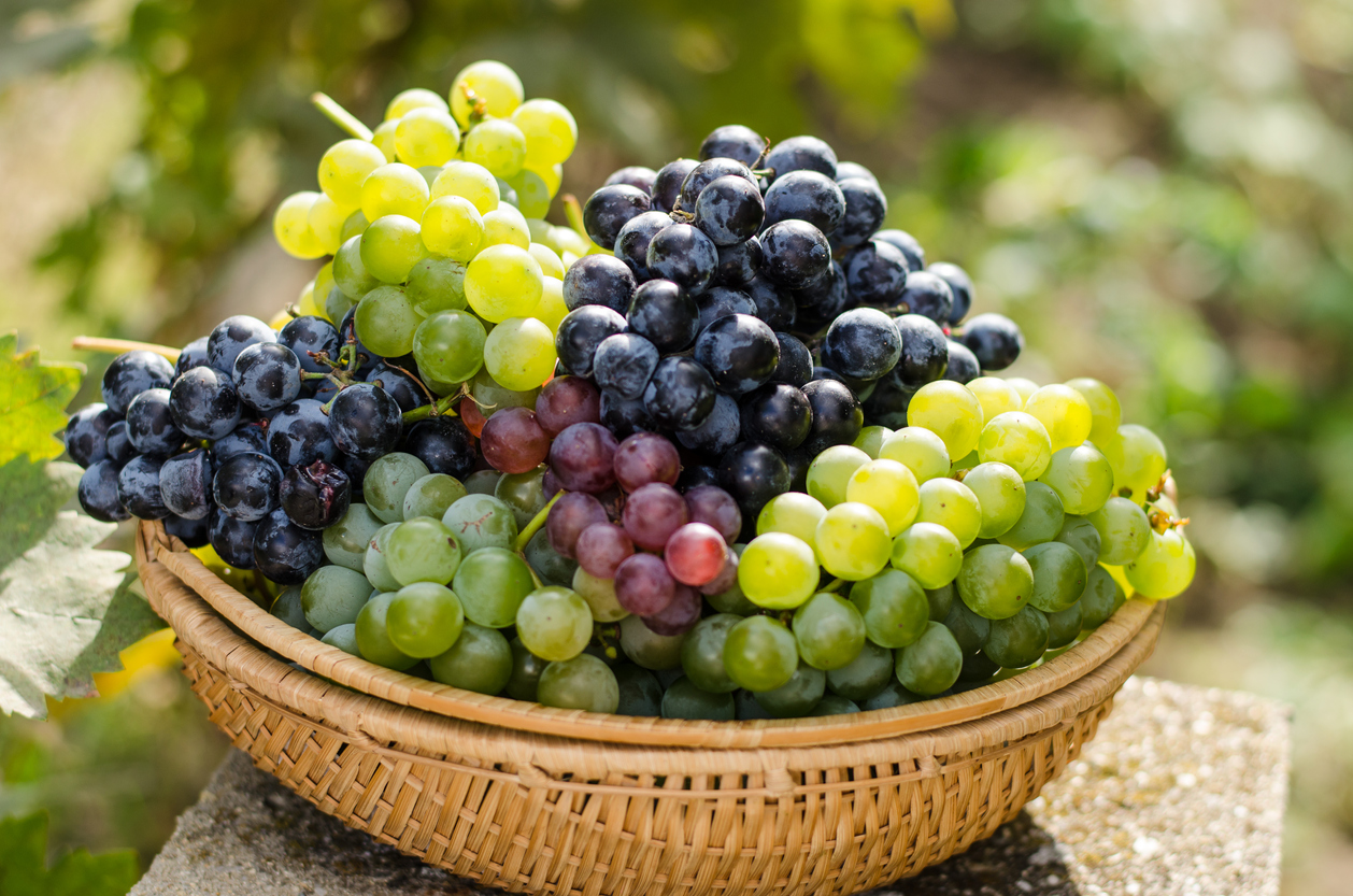 Grapes of various colors in a basket