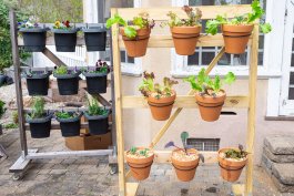How to Build a Raised Lettuce Garden