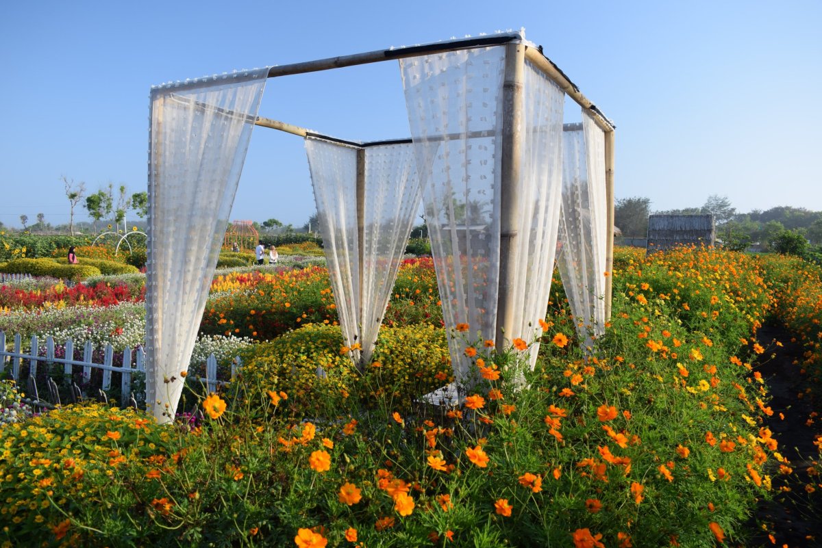 vegetable garden screens 