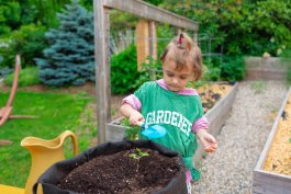 How to Start Gardening with Grow Bags for Vegetables and Fruits