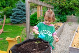 how to use grow bags for vegetables