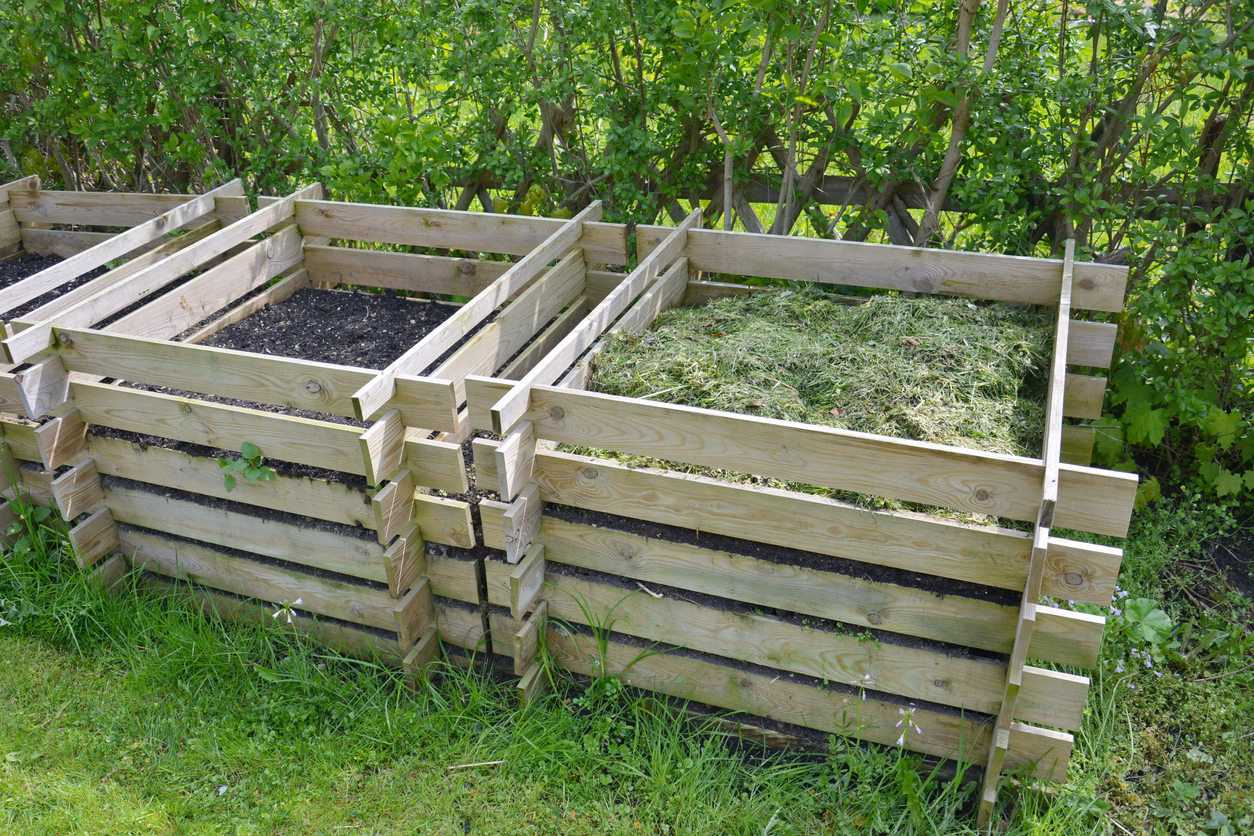 compost in the garden