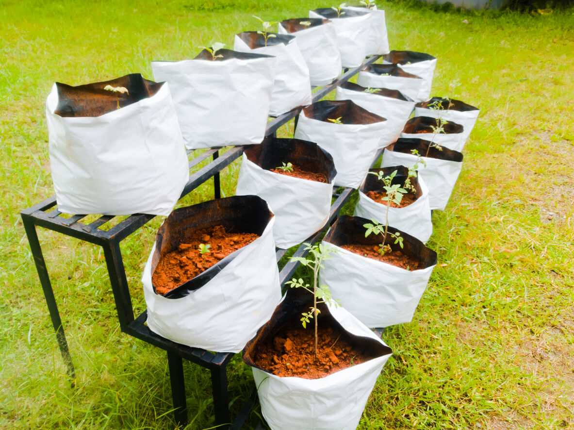 Grow bags with vegetable saplings in a vertical stand outside.The new method of cultivating vegetables.The soil used is red soil.