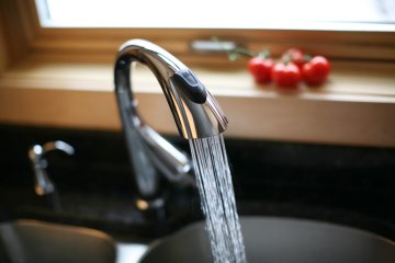 Tap Water vs. Distilled: Which is Better for Indoor Gardens?