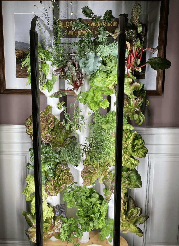 best hydroponic garden system - gardyn