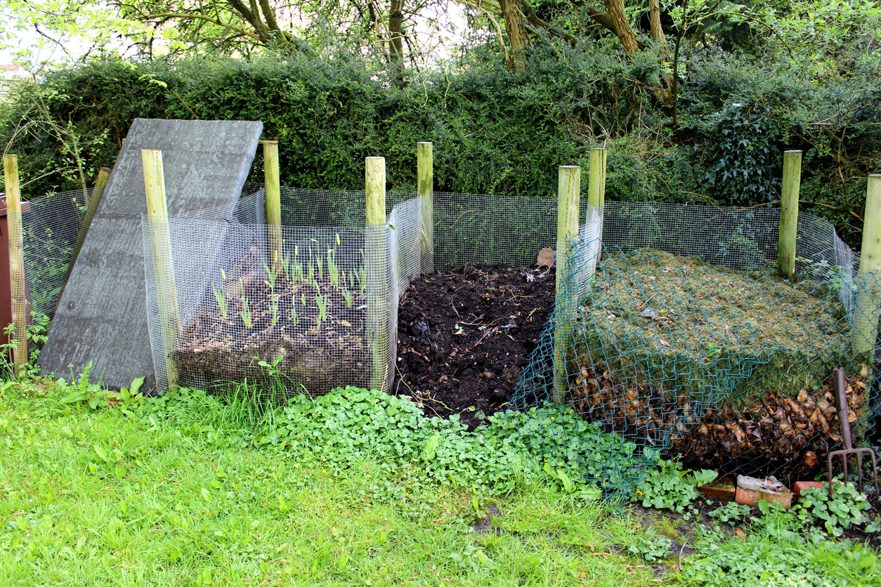 Image of wire recycling compost heaps in shady garden corner