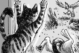 Cats. Gophers. Sweet Peas.