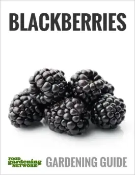 blackberries gardening guide