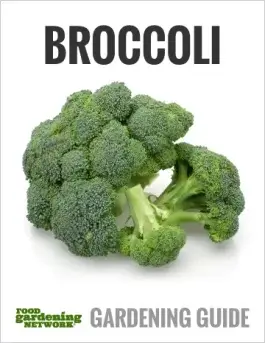 Making the Most of Broccoli Growing Season: From Seed to Soup