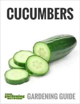 The Cucumber Grower’s Guide—All You Need to Know About Growing, Harvesting, Cooking, and Eating the Garden’s Coolest Crop